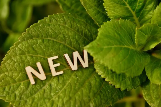 NEWの文字と葉っぱ